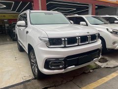 Beijing Jeep BJ60 2.0T Eleventh Edition Five-Seater - фото 3