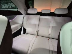XPeng X9 Extended Range 1602 Ultra - фото 15