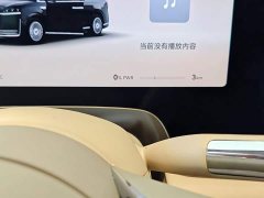 Luxeed Zhiji V9 Ultra - ფოტო 11