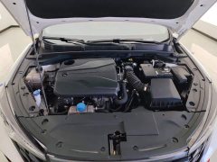 Changan Eado Enjoy Plus Blue Whale NE 1.4T GDI DCT Luxury Edition - photo 10