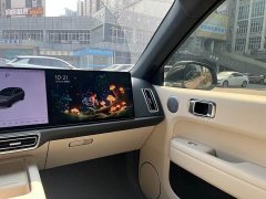Li Auto L6 Pro - ფოტო 9