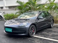 Tesla Model 3 Performance All-Wheel Drive - ფოტო 1