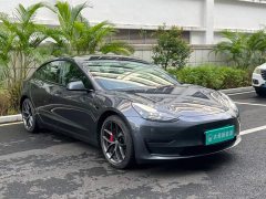 Tesla Model 3 Performance All-Wheel Drive - ფოტო 13