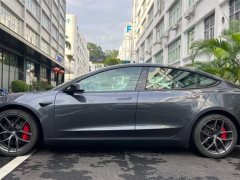 Tesla Model 3 Performance All-Wheel Drive - ფოტო 14