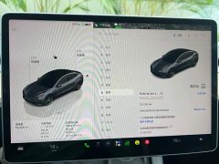 Tesla Model 3 Performance All-Wheel Drive - ფოტო 9