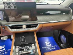 Tank 500 New Energy Hi4-Z Smart Comfort Edition - фото 9