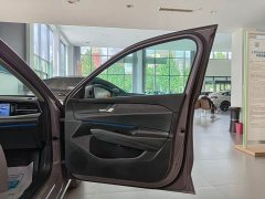 Volkswagen Passat Pro 380TSI Dragon Premium Edition - photo 12