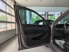 Volkswagen Passat Pro 380TSI Dragon Premium Edition - photo 6