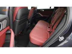 BMW X6 Facelift xDrive40i Luxury Edition M Sport Package - фото 7