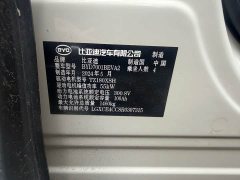 BYD Seagull Glory Edition 305km Freedom Version - ფოტო 10