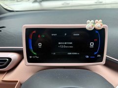 BYD Seagull Glory Edition 305km Freedom Version - ფოტო 11