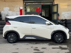 BYD Seagull Glory Edition 305km Freedom Version - ფოტო 6