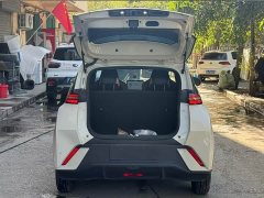 BYD Seagull Glory Edition 305km Freedom Version - ფოტო 8