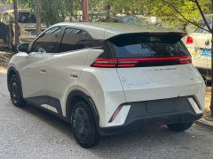 BYD Seagull Glory Edition 305km Freedom Version - ფოტო 9