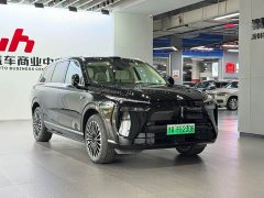 Great Wall WEY Blue Mountain Intelligent Advanced Edition Four-Wheel Drive Max - фото 3