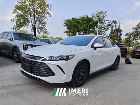 2025 BYD Qin PLUS DM-i Smart Drive Edition 55KM Leading