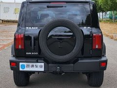 Tank 300 Off-Road Edition 2.0T Conqueror - фото 15