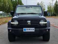 Tank 300 Off-Road Edition 2.0T Conqueror - фото 2