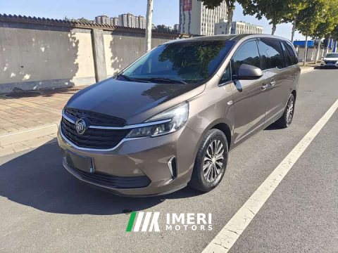 2021 Buick GL8 Land Business Class 652T Luxury - автомобиль из Китая