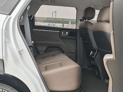 Wuling Starlight 560 New Energy Plug-in Hybrid 125km Luxury - photo 12