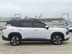 Wuling Starlight 560 New Energy Plug-in Hybrid 125km Luxury - photo 4