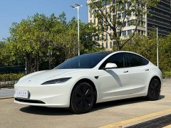 Tesla Model 3 Rear-Wheel Drive - ფოტო 1