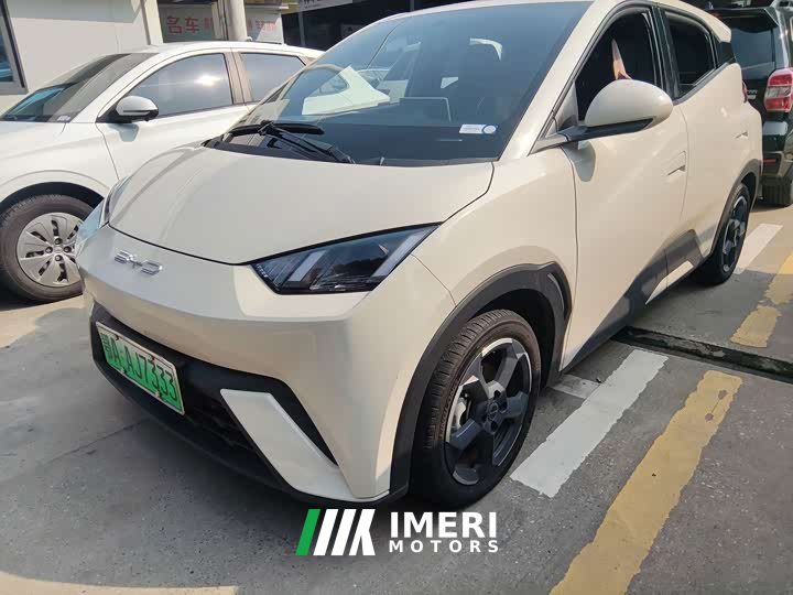 BYD Seagull Glory Edition 305km Vitality Version - ავტომობილი ჩინეთიდან