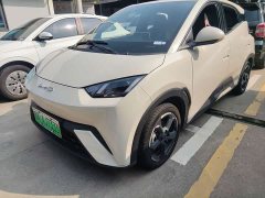 BYD Seagull Glory Edition 305km Vitality Version - ფოტო 1