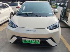 BYD Seagull Glory Edition 305km Vitality Version - ფოტო 2