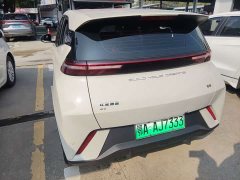 BYD Seagull Glory Edition 305km Vitality Version - ფოტო 4