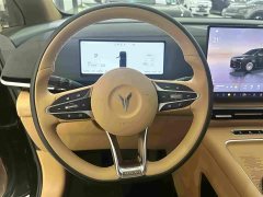 Voyah Lantu Dreamchaser PHEV AWD Excellence Kunpeng Edition - photo 8