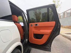 Li Auto L9 Max - ფოტო 10