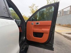 Li Auto L9 Max - ფოტო 13