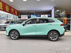 Great Wall Macchiato DHT 1.5L DHT Edition - ფოტო 11