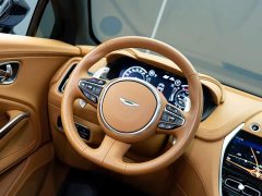 Aston Martin DBX 4.0T V8 - ფოტო 13