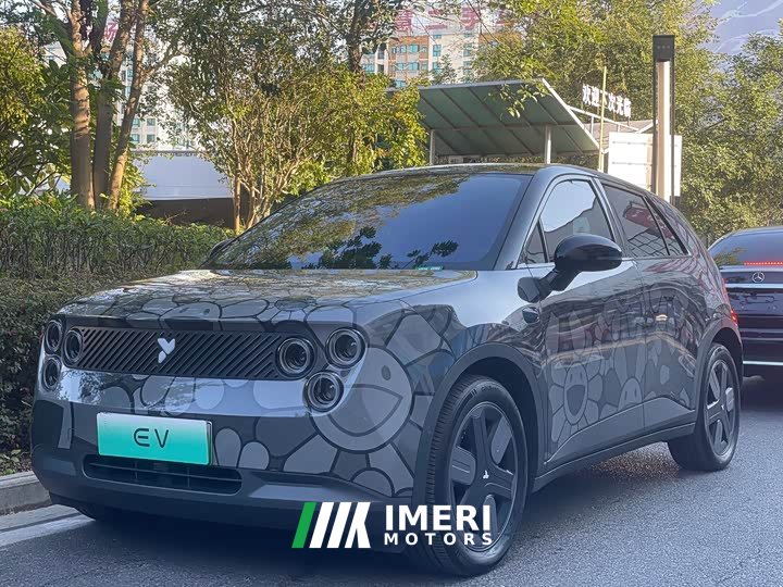 Nio Firefly Luminous Edition
