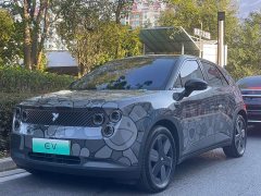 Nio Firefly Luminous Edition - photo 1