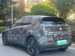 Nio Firefly Luminous Edition - photo 19