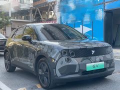 Nio Firefly Luminous Edition - photo 5