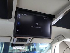 Toyota Vellfire Crown Hybrid 2.5L Ink Gold Executive Edition - фото 15