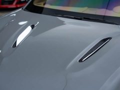 Aston Martin DBX 4.0T V8 - ფოტო 5