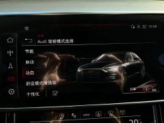 Audi S8 S8L 4.0TFSI quattro Collector's Edition - photo 11