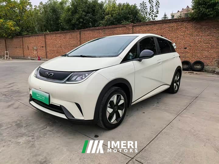 BYD Dolphin Glory Edition 420km Freedom Version - ავტომობილი ჩინეთიდან
