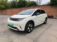 BYD Dolphin Glory Edition 420km Freedom Version - ფოტო 1