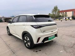 BYD Dolphin Glory Edition 420km Freedom Version - ფოტო 10