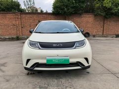 BYD Dolphin Glory Edition 420km Freedom Version - ფოტო 2