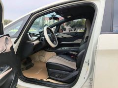BYD Dolphin Glory Edition 420km Freedom Version - ფოტო 4