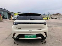 BYD Dolphin Glory Edition 420km Freedom Version - ფოტო 5