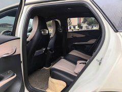 BYD Dolphin Glory Edition 420km Freedom Version - ფოტო 6