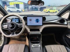 BYD Dolphin Glory Edition 420km Freedom Version - ფოტო 7
